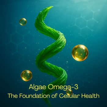 Omega-3 Fatty Acids | Foundation of Cellular Health